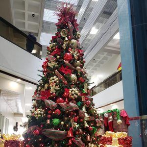 Meet your Posher, Mariana